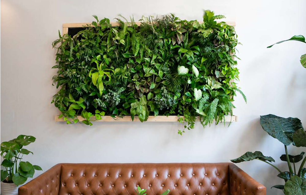 Design Tips for Vertical Plant Walls