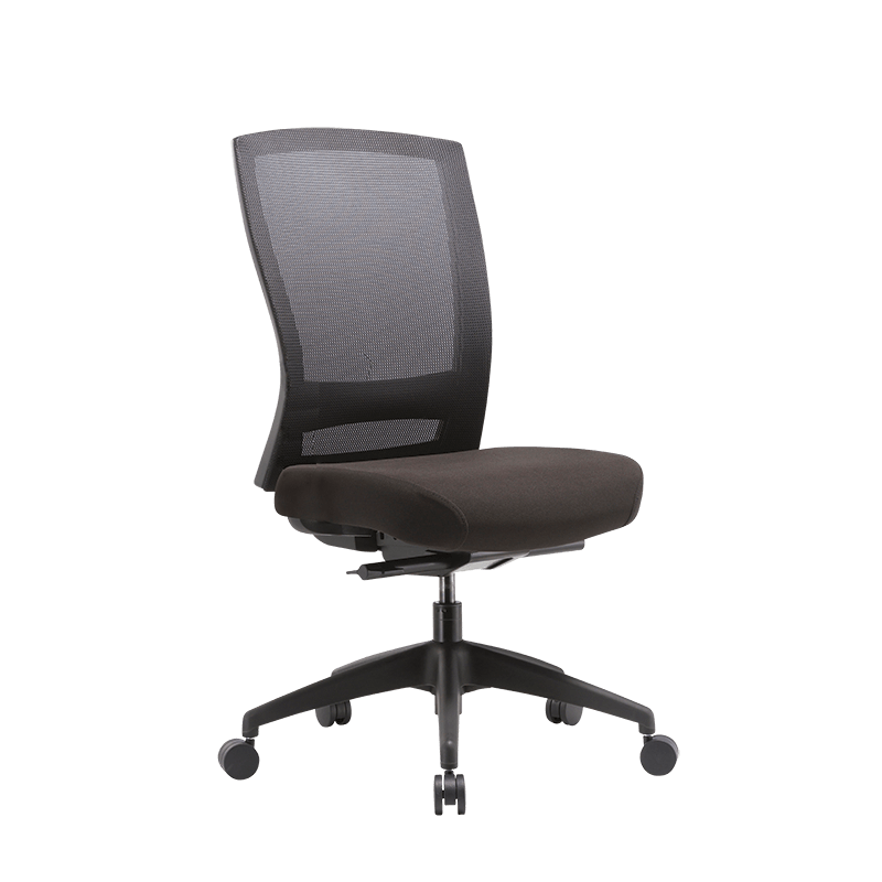 Buro Mentor Mesh Nylon Chair Without Arms | Office Furniture Designs