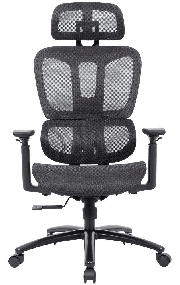Montana Chair | Office Furniture Designs