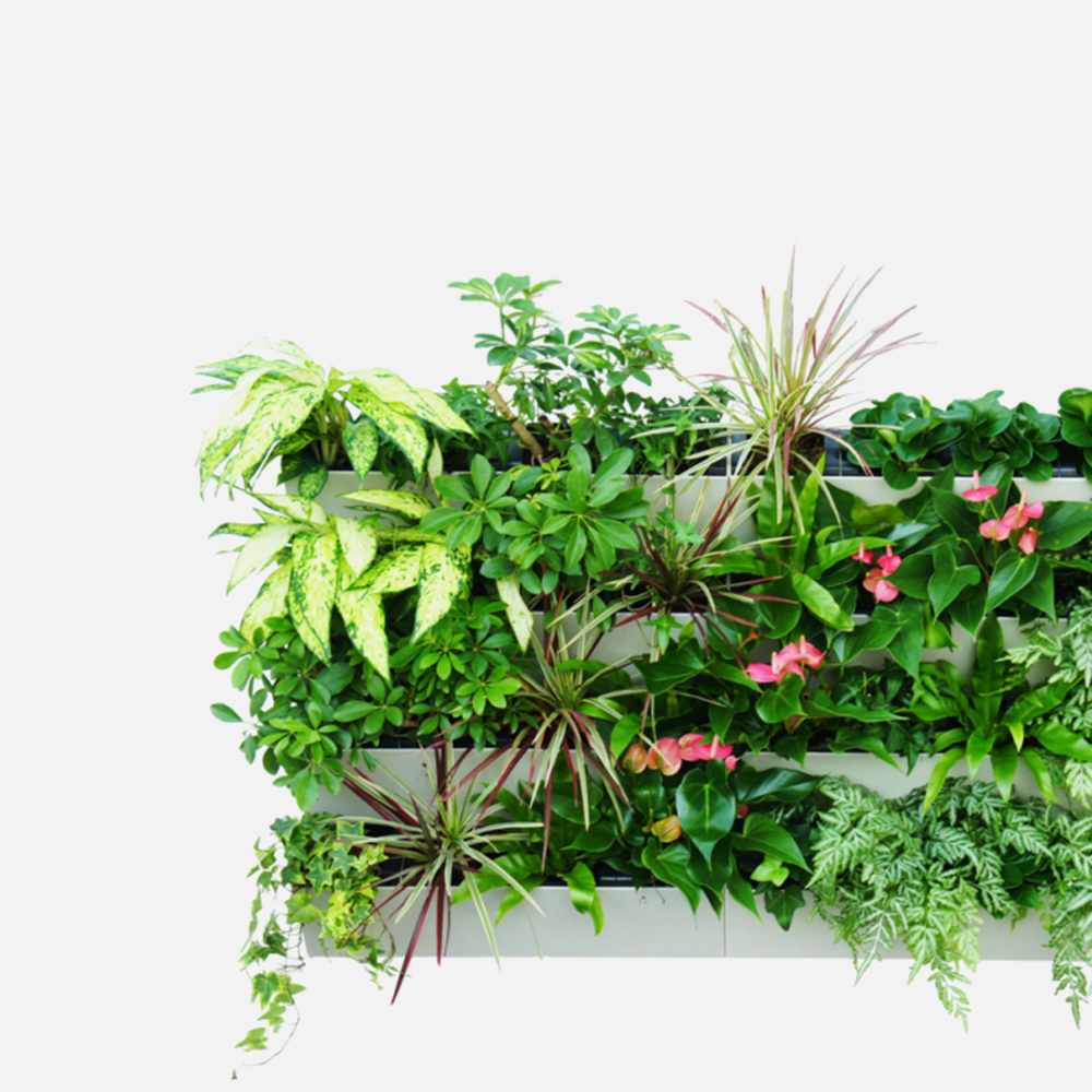 Vertical Gardens