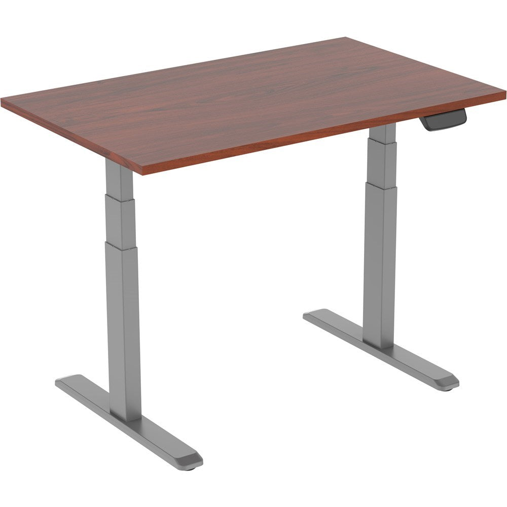 Ergovida Electric Sit-Stand Desk