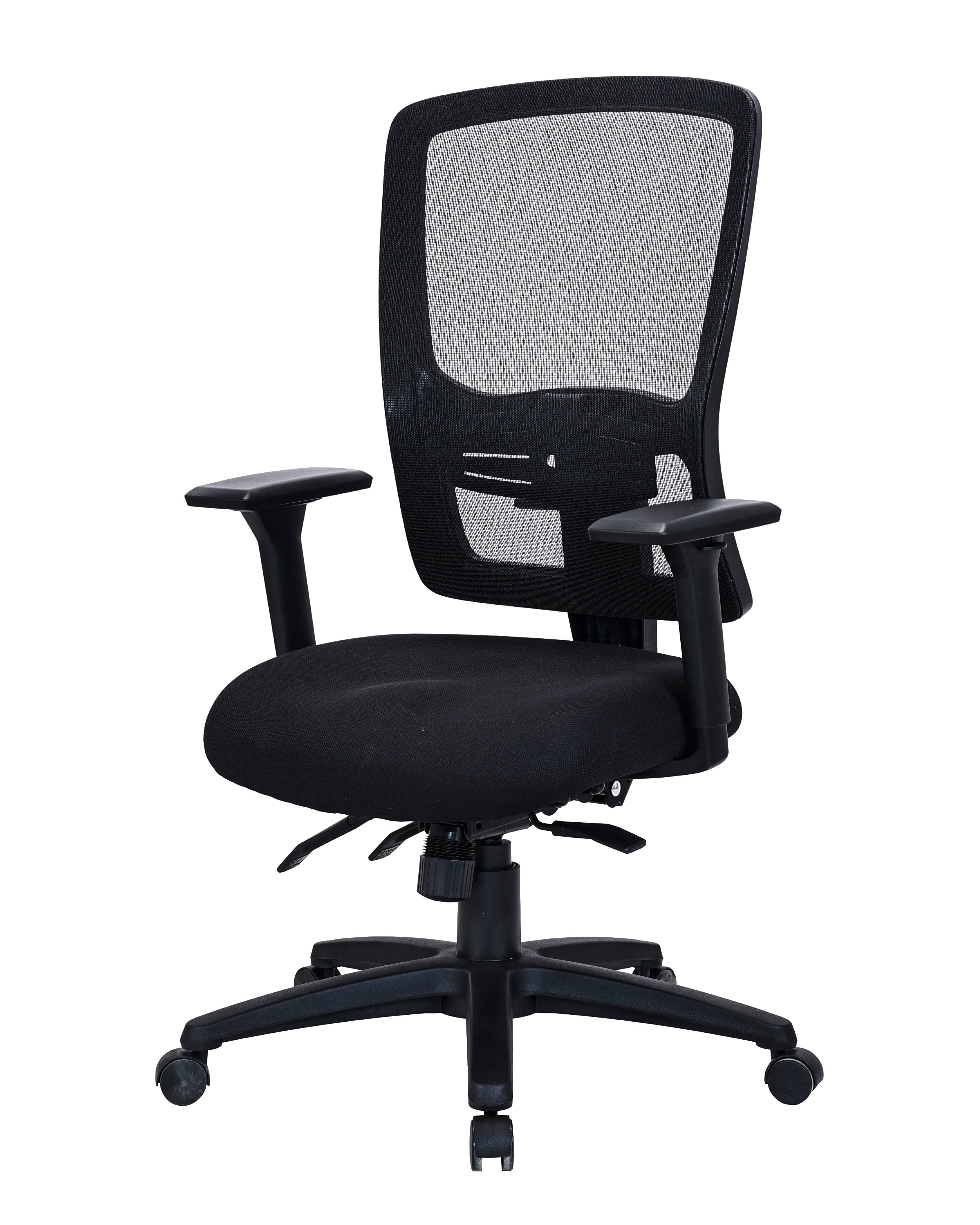 Ergona Heavy Duty Mesh Back Ergonomic Chair
