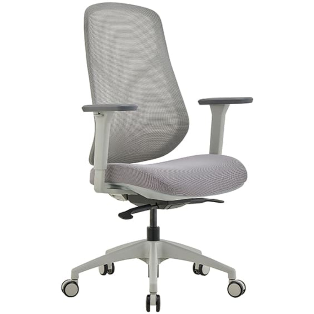 Ivory Executive Mesh Chair Low Back | Office Furniture Designs