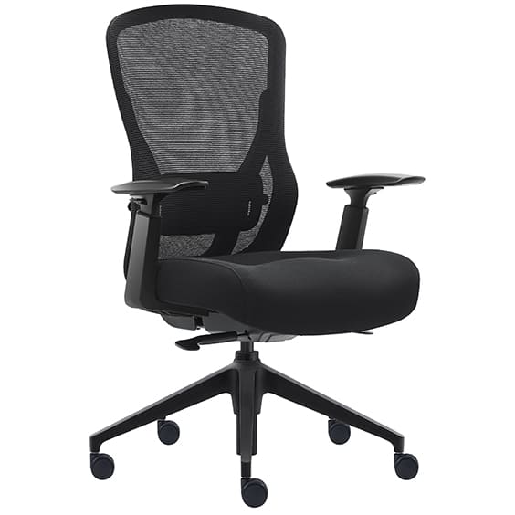 Mitz Executive Mesh Chair Low Back | Office Furniture Designs